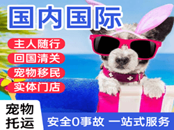 南充高坪空运国际宠物托运 【国